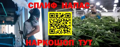 ECSTASY Шелехов