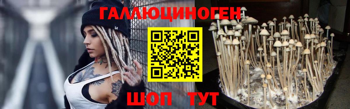 Галлюциногенные грибы мицелий  Псилоцибиновые грибы мицелий  Вход с VPN  Альметьевск 